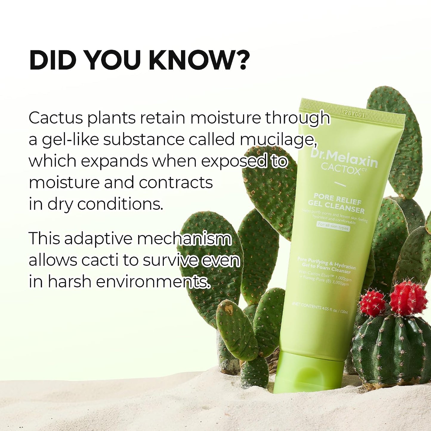 Dr.Melaxin Cactox Pore Relief Gel Cleanser, Hydrating Gel-to-Foam Facial Cleanser for Pore Cleansing and Enlarged-Looking Pores, 120ml