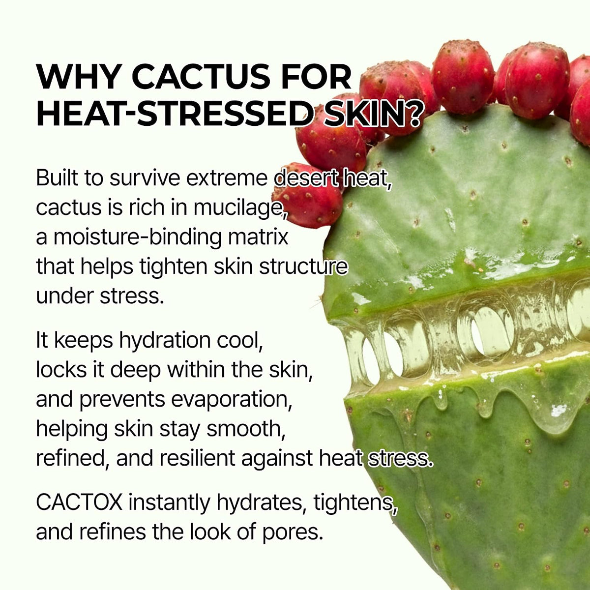 Dr.Melaxin Cactox Pore Relief Jelly Serum Mist, Instant Cooling Face Mist for Pore Tightening & De-Puffing, Hydrating Cactus Serum for Puffy Skin, 80ml (2.7 fl oz)